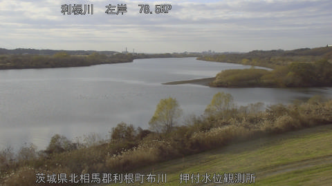 tonos2025120915_image