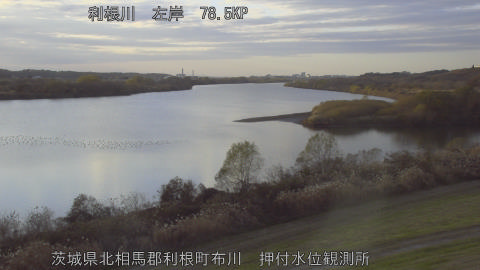 tonos2025120916_image