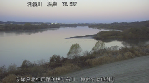 tonos2025121007_image