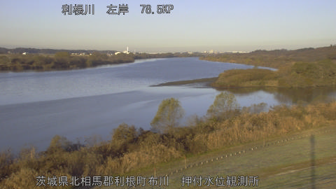 tonos2025121008_image