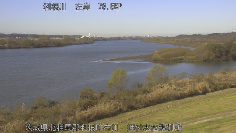 tonos2025121011_image