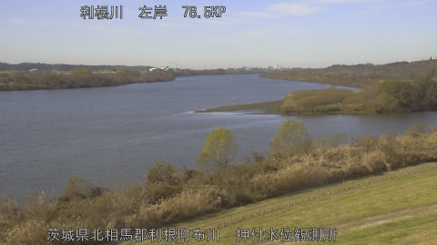 tonos2025121012_image