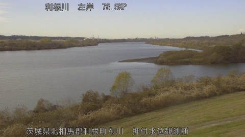 tonos2025121013_image