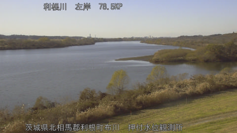 tonos2025121014_image