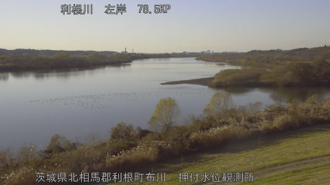 tonos2025121015_image