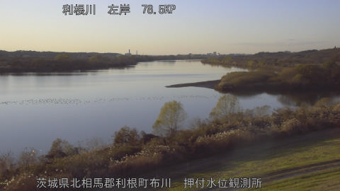 tonos2025121016_image