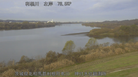 tonos2025121108_image