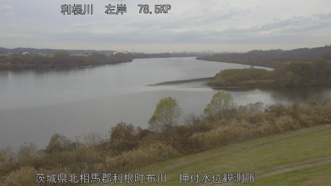 tonos2025121109_image