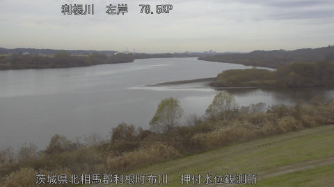 tonos2025121110_image