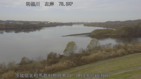 tonos2025121112_image