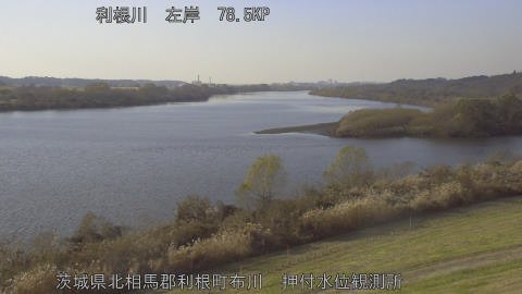 tonos2025121114_image