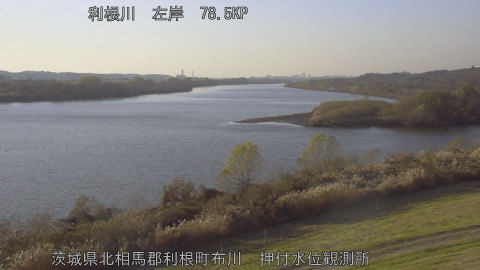 tonos2025121116_image