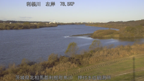 tonos2025121208_image