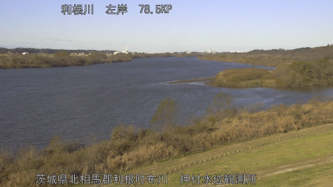 tonos2025121209_image