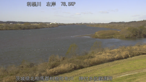 tonos2025121211_image