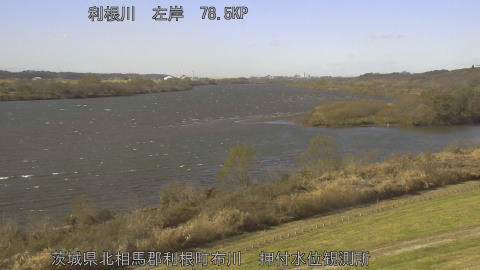 tonos2025121212_image