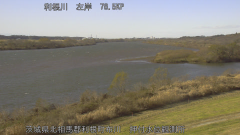 tonos2025121213_image