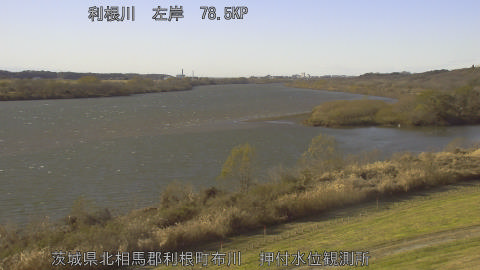 tonos2025121214_image