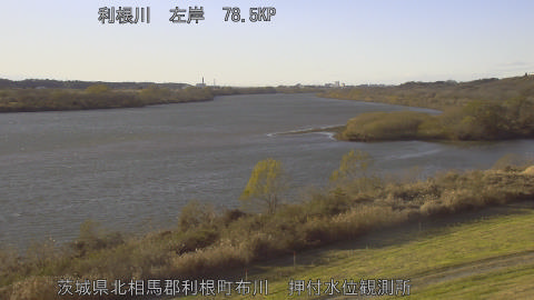 tonos2025121215_image