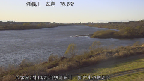 tonos2025121216_image