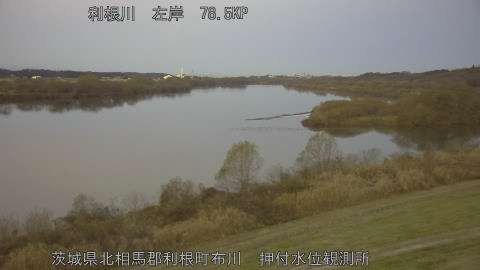 tonos2025121307_image