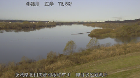 tonos2025121309_image