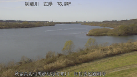 tonos2025121313_image