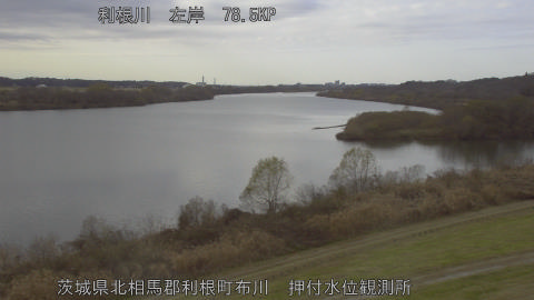 tonos2025121314_image