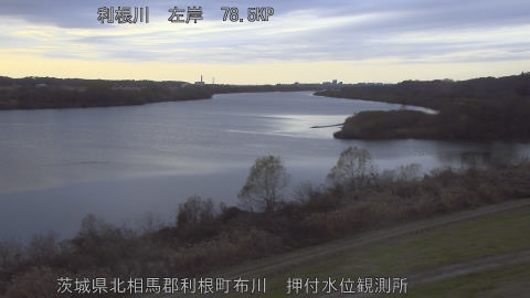 tonos2025121316_image