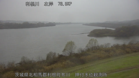 tonos2025121407_image