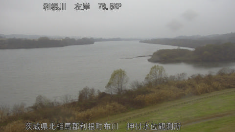 tonos2025121408_image