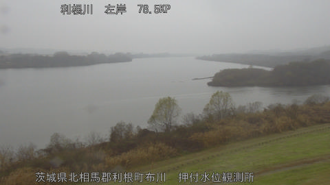 tonos2025121410_image