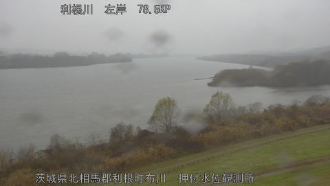 tonos2025121411_image