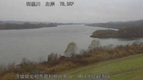 tonos2025121412_image