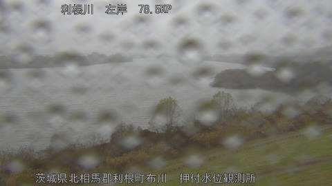 tonos2025121413_image