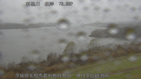 tonos2025121414_image