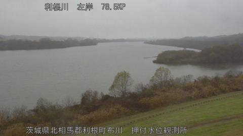 tonos2025121415_image