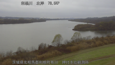 tonos2025121416_image