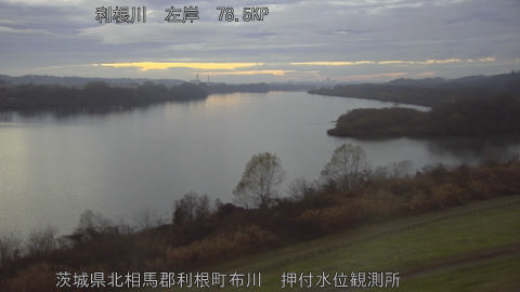 tonos2025121417_image