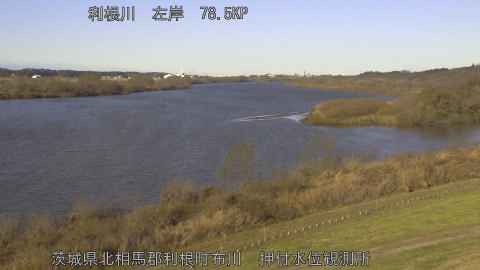 tonos2025121509_image