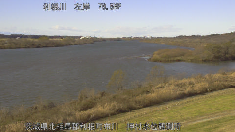 tonos2025121512_image