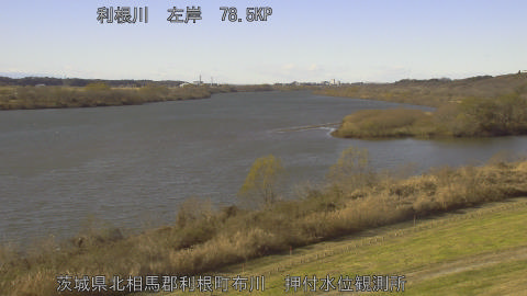 tonos2025121513_image