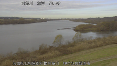 tonos2025121610_image