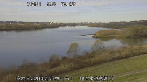 tonos2025121612_image