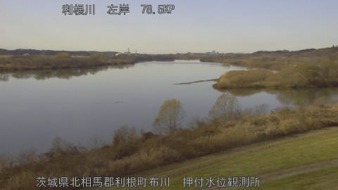 tonos2025121613_image