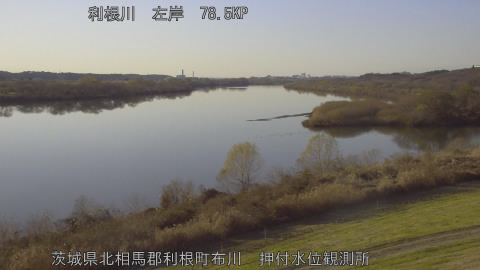 tonos2025121615_image