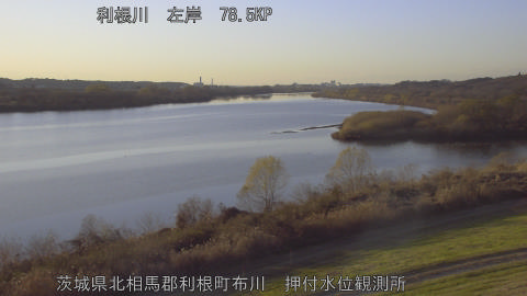 tonos2025121616_image