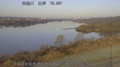 tonos2025121708_image