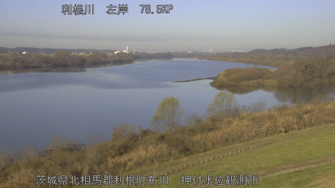 tonos2025121709_image