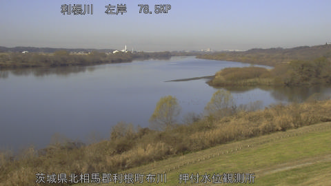 tonos2025121710_image